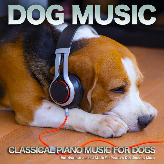 Dog Music album cover