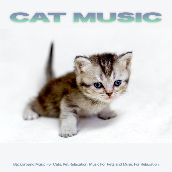 Cat Music album cover