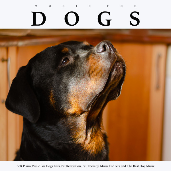 Music For Dogs album cover