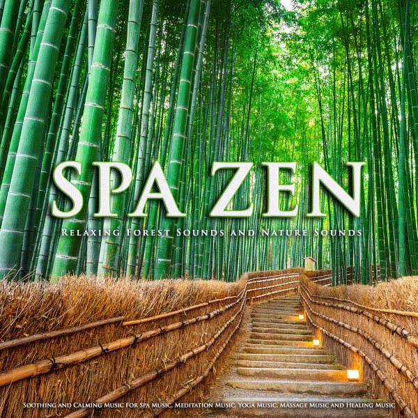 Spa Zen album cover