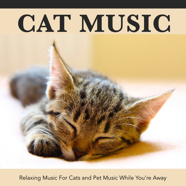 Cat Music album cover