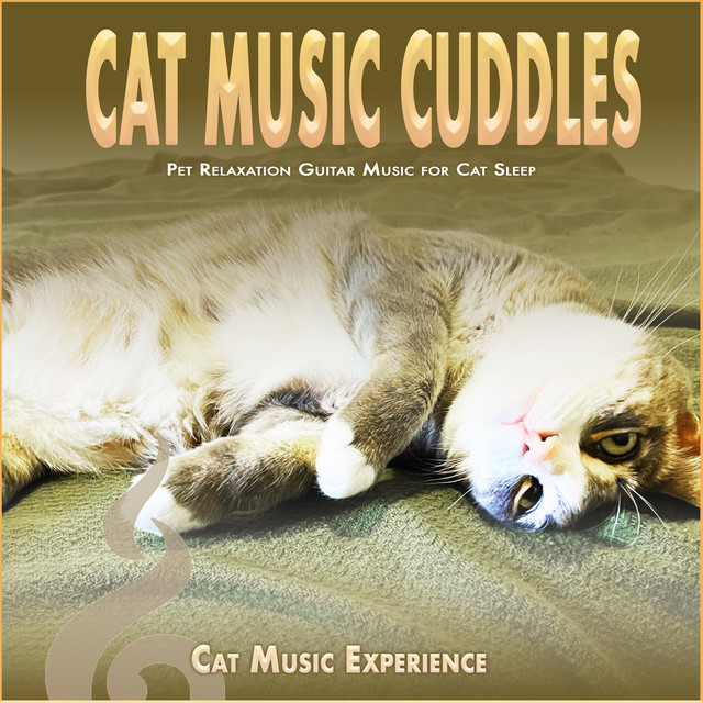 Cat Music Cuddles album cover