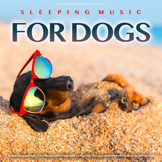 Sleeping Music For Dogs album cover