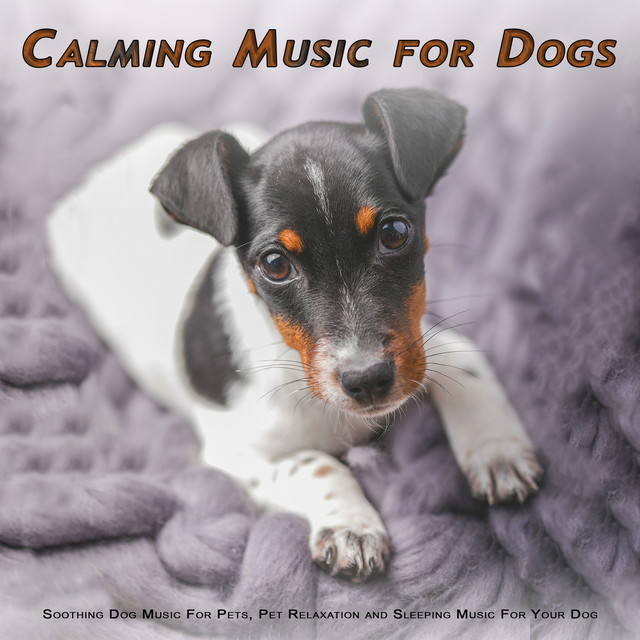 Calming Music For Dogs album cover