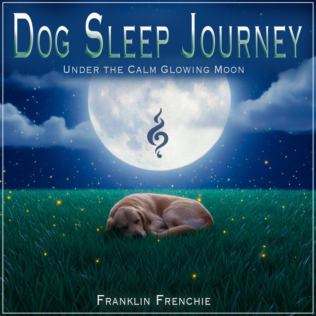 Dog Sleep Journey album cover