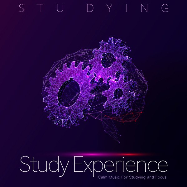 Study Experience album cover