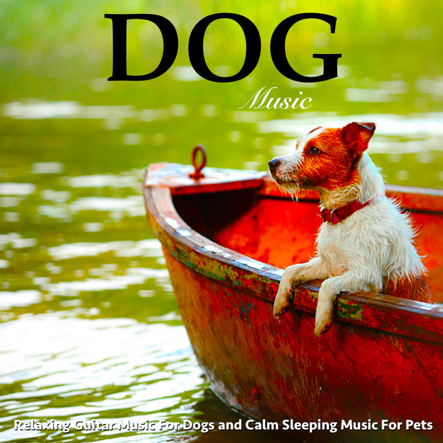 Dog Music album cover