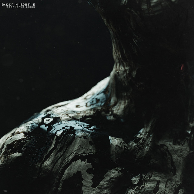 Wasp Tongue album cover art