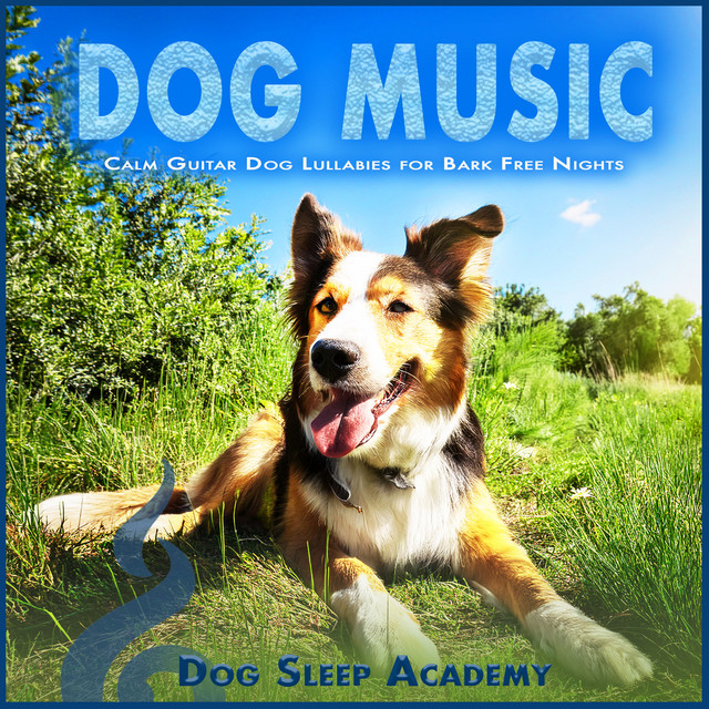 Dog Music album cover