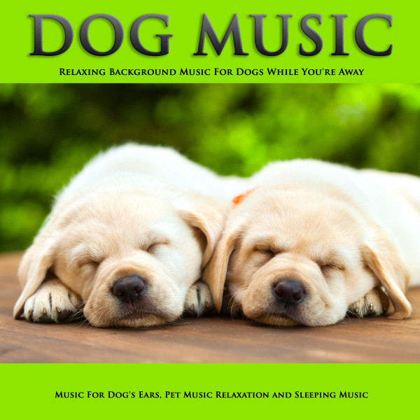 Dog Music album cover