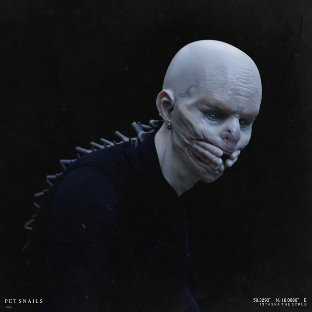 Squishy Caterpillars Riding On Bullets album cover art