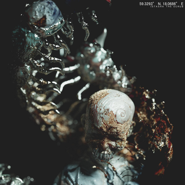 Swallowing Centipedes album cover art