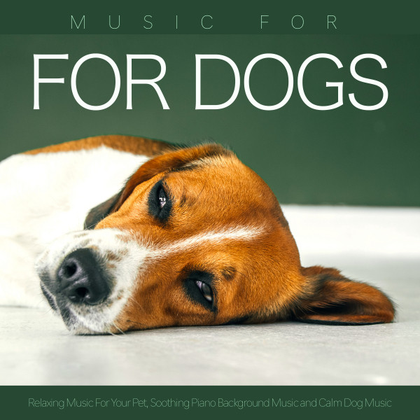 Music for Dogs album cover