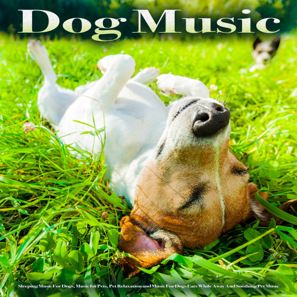 Dog Music album cover