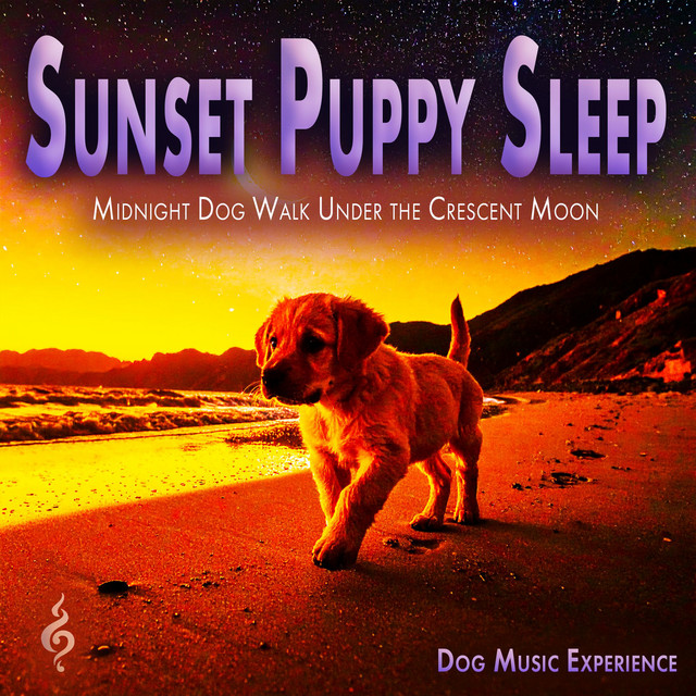 Sunset Puppy Sleep album cover