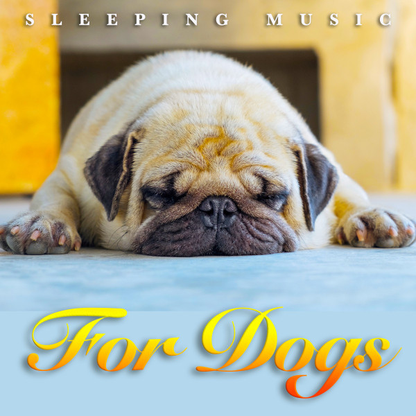 Sleeping Music For Dogs album cover
