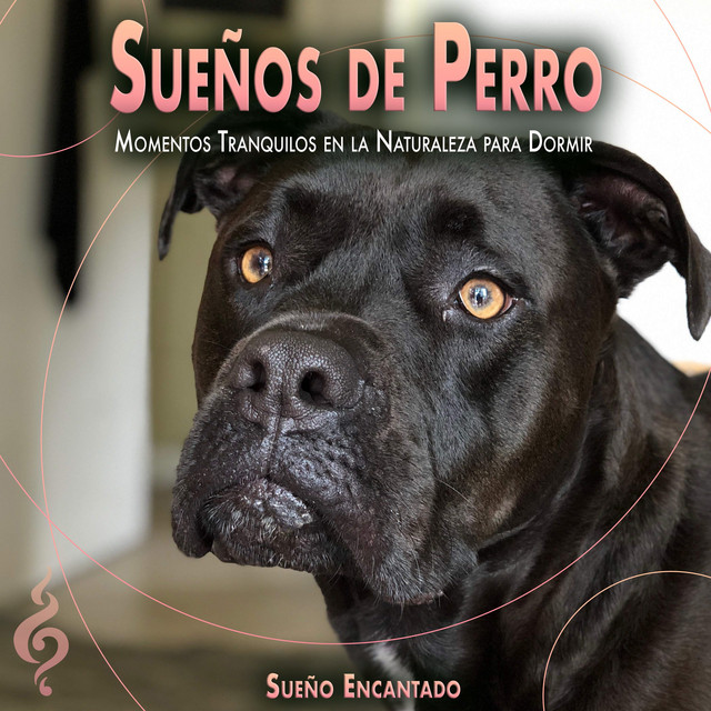 Sueños de Perro album cover