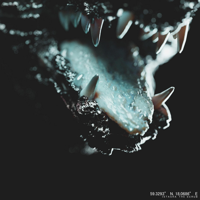 Jungle Puppy album cover art