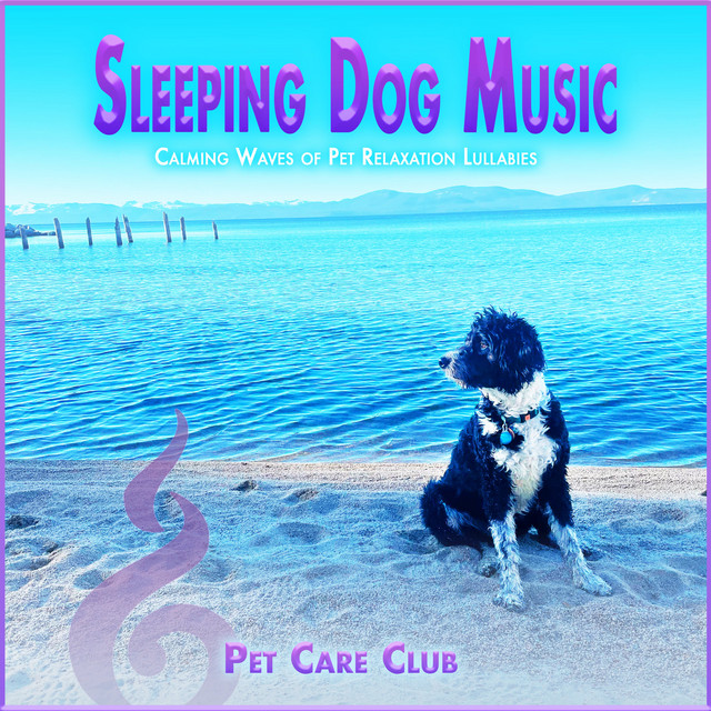 Sleeping Dog Music album cover