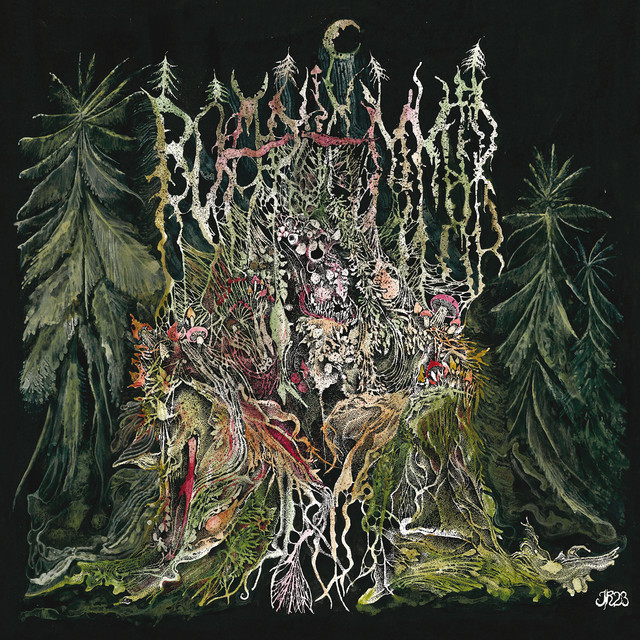 Boarhammer - II: Chemognosis - A Shortcut to Mushrooms