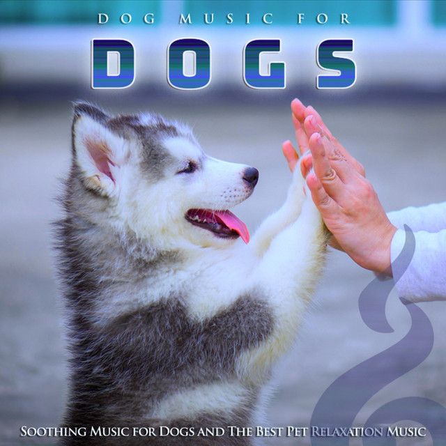 Dog Music For Dogs album cover