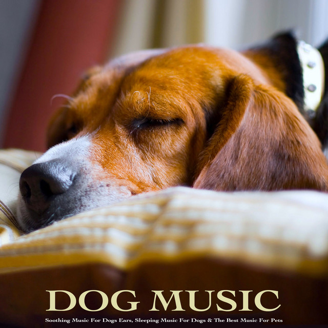 Dog Music: Soothing Music For Dogs Ears, Sleeping Music For Dogs & The Best Music For Pets album cover