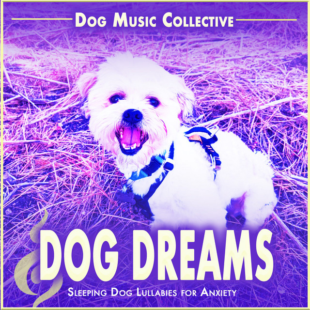Dog Dreams album cover