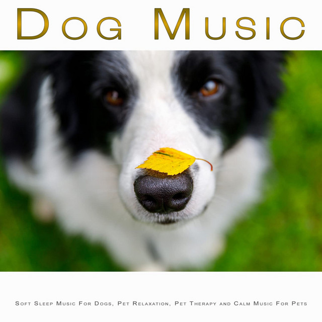 Dog Music album cover