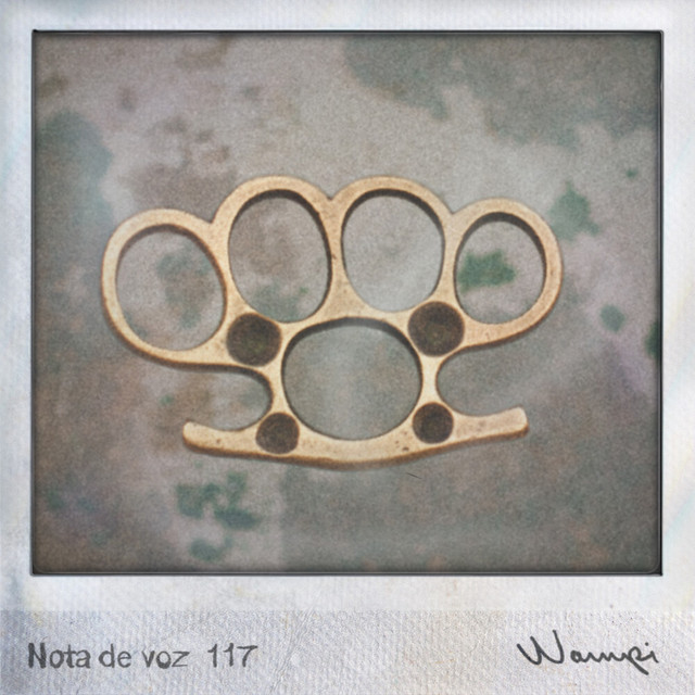 Nota de Voz 117