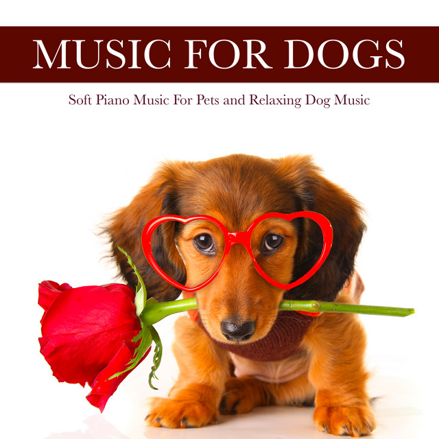 Music For Dogs album cover