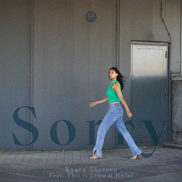 Sorry — album artwork