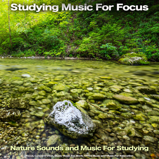 Studying Music For Focus album cover