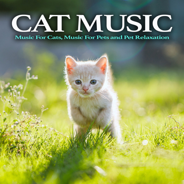 Cat Music album cover