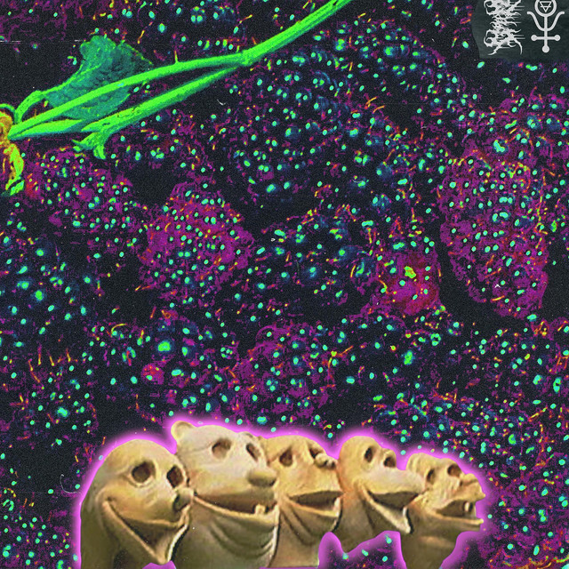 Boysenberry Sepsis album cover art