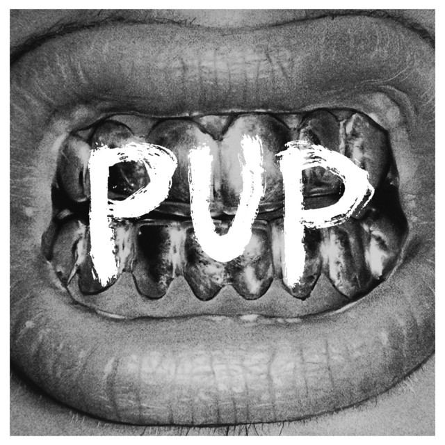 PUP artwork
