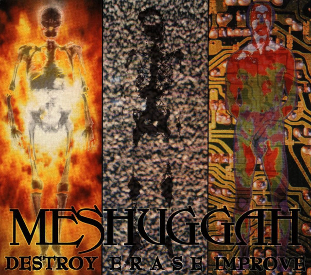 Destroy Erase Improve artwork