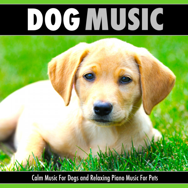 Dog Music album cover