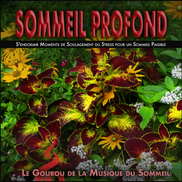 Sommeil profond album cover