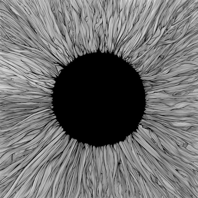 Witness artwork