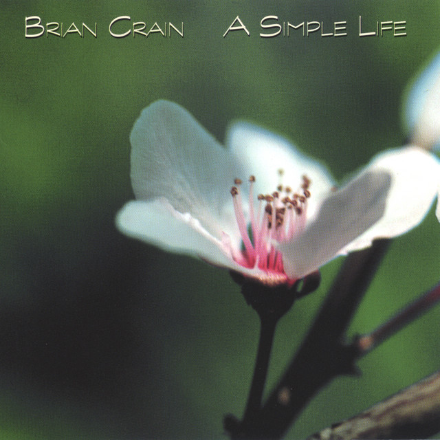 A Simple Life album cover by Brian Crain