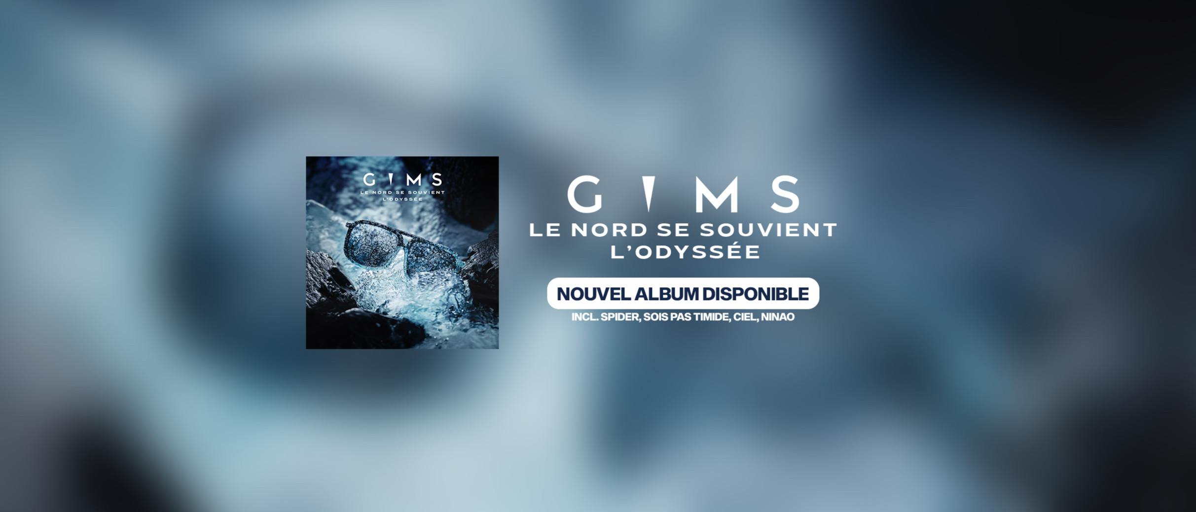 GIMS Tickets Villeneuve D Ascq (DECATHLON ARENA - STADE PIERRE MAUROY ...