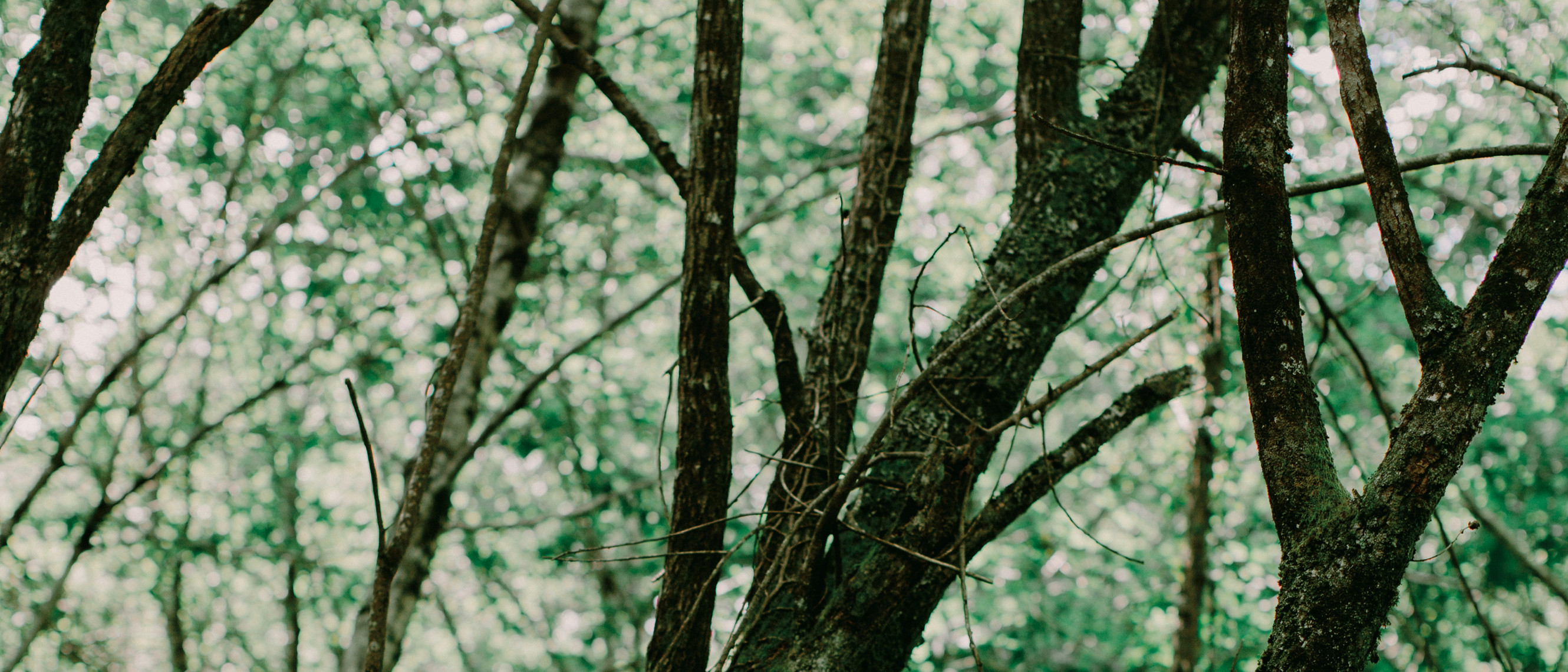 Fabien Boeuf Tickets Montfort-en-chalosse (café scène) on 3/30/2025 at ...