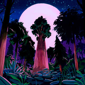 Missoula's 'moon trees': What happened to them? – The Pulp