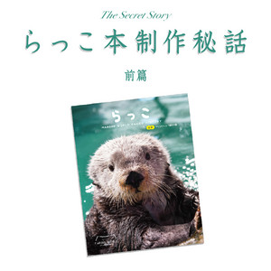 らっこ～marineworld racco history～を読みました｜ウソソ（カワウソ