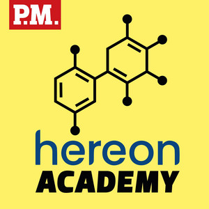 Kann KI das Klima retten?