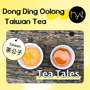 凍頂烏龍是什麼茶？烏龍茶的分類與等級— 荼公子- Han-Yi 韓奕
