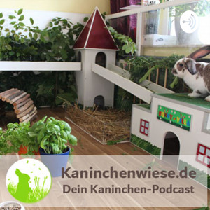 Einstreu & Untergrund