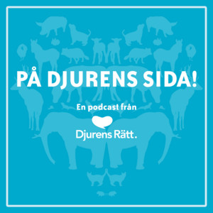 99. Vem vill att djurfabriker ska finnas?