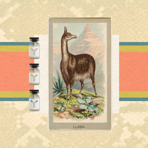 tobacco antivenom An Antivenom Cocktail, Made by a Llama