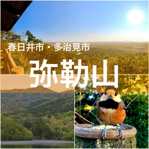 手軽に登れて眺めが綺麗♪野生動物とも触れ合える？「弥勒山